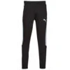 Puma Evostripe Pants 2 Puma Evostripe Pants -Stijlvol Heren 24122033 500 A